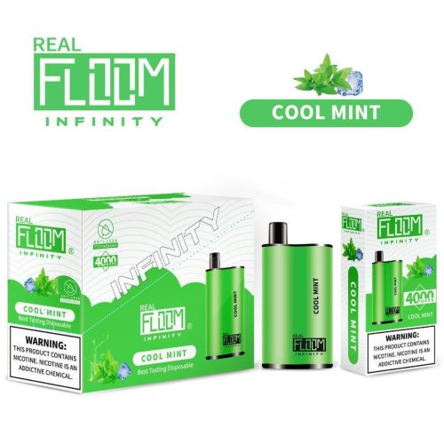 Floom Infinity Disposable | 4000 Puffs | 10mL - Cool Mint with packaging