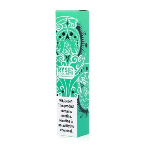 Ryse Max V2 Disposable E-Cigs (Individual) cool mint packaging