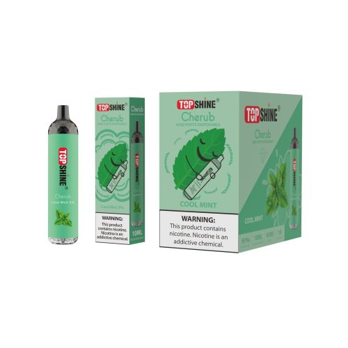 Topshine Disposable 4500 Puffs 10mL cool mint with packaging